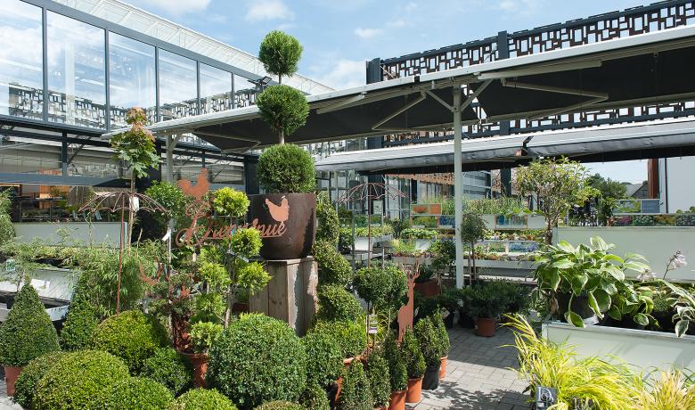 Deforche - Thermoflor - Brindille - tuincentrum - jardinerie - garden center